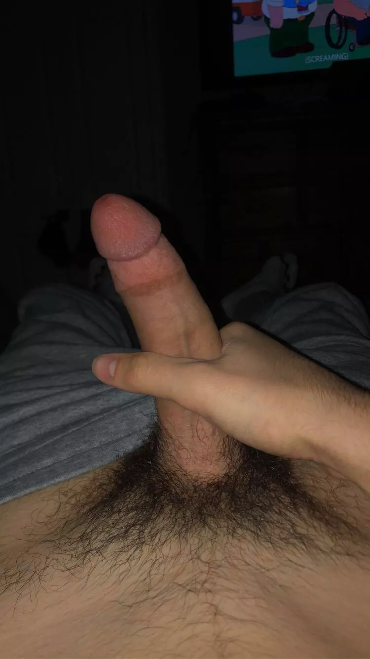 Do you like my Canadian pubes?