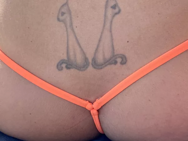 Do you like my cats ?