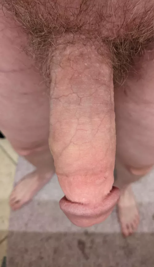 Do you like my dick?