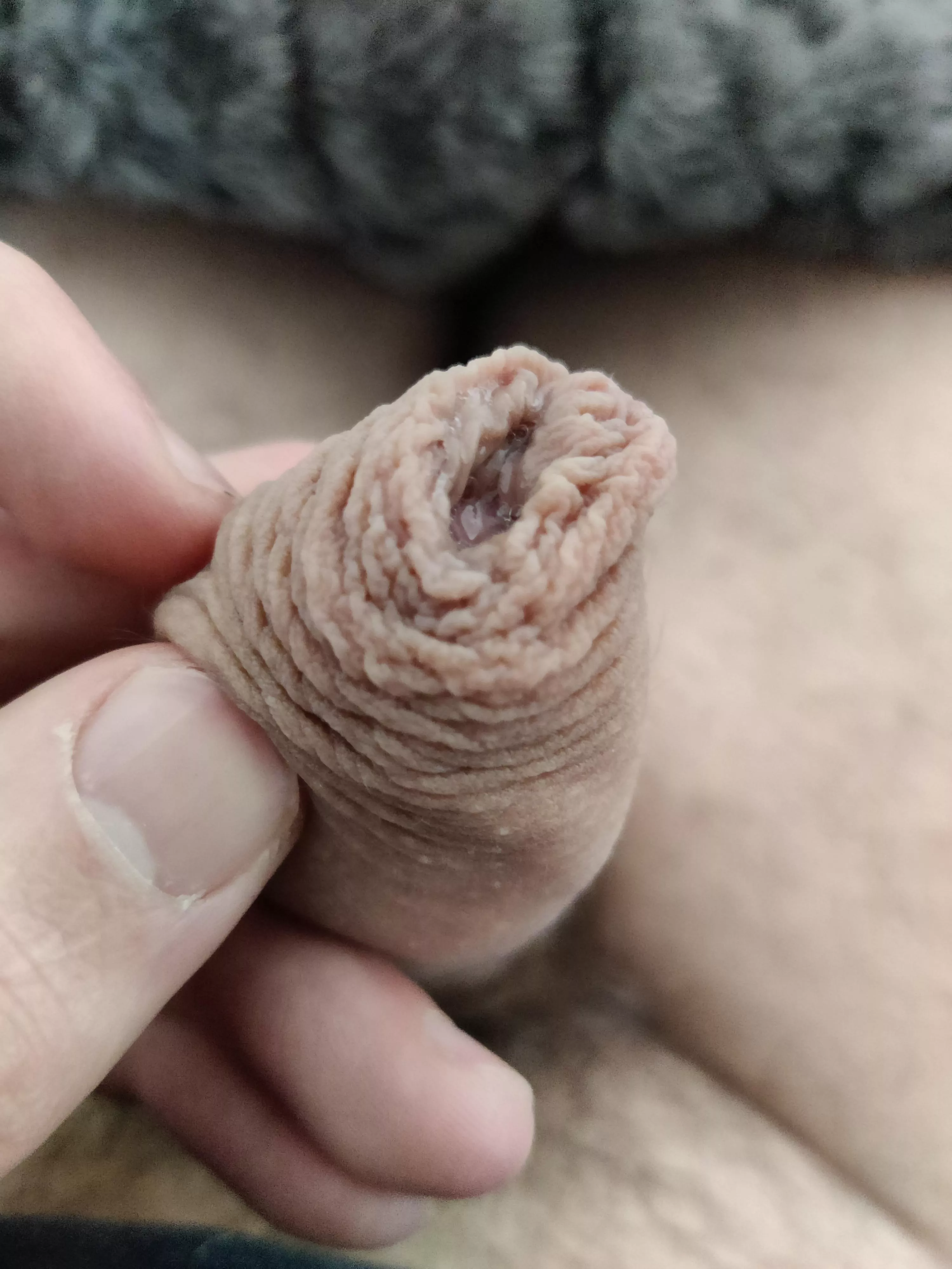 Do you like my foreskin? :)