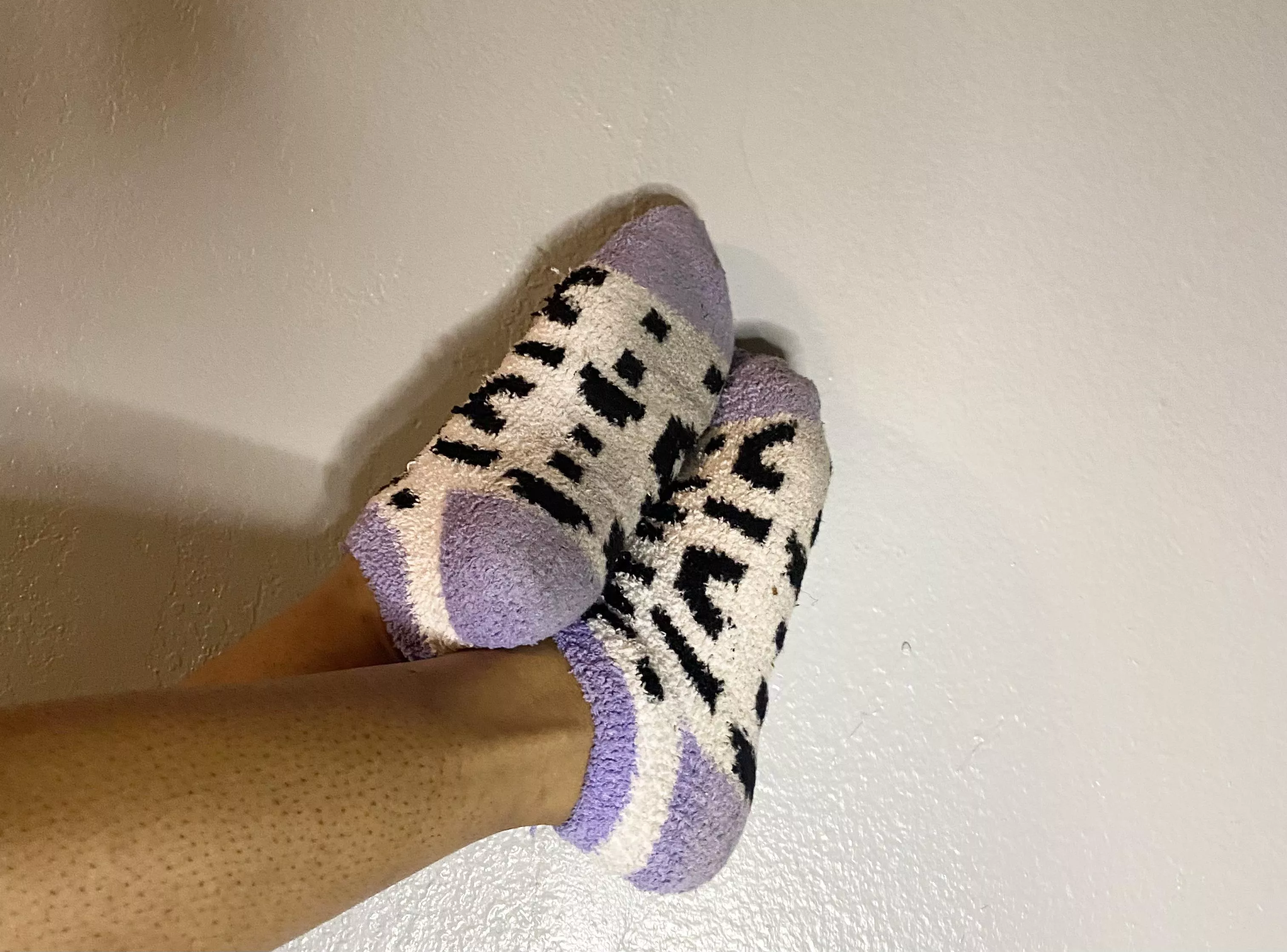Do you like my fuzzy socks Do you like my fuzzy socks