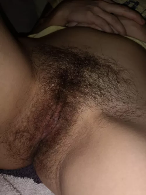 Do you like my girlfriends lovely, hairy pussy?