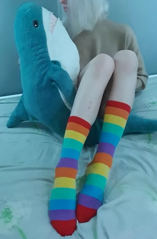 Do you like sharks ? What about kitties ?