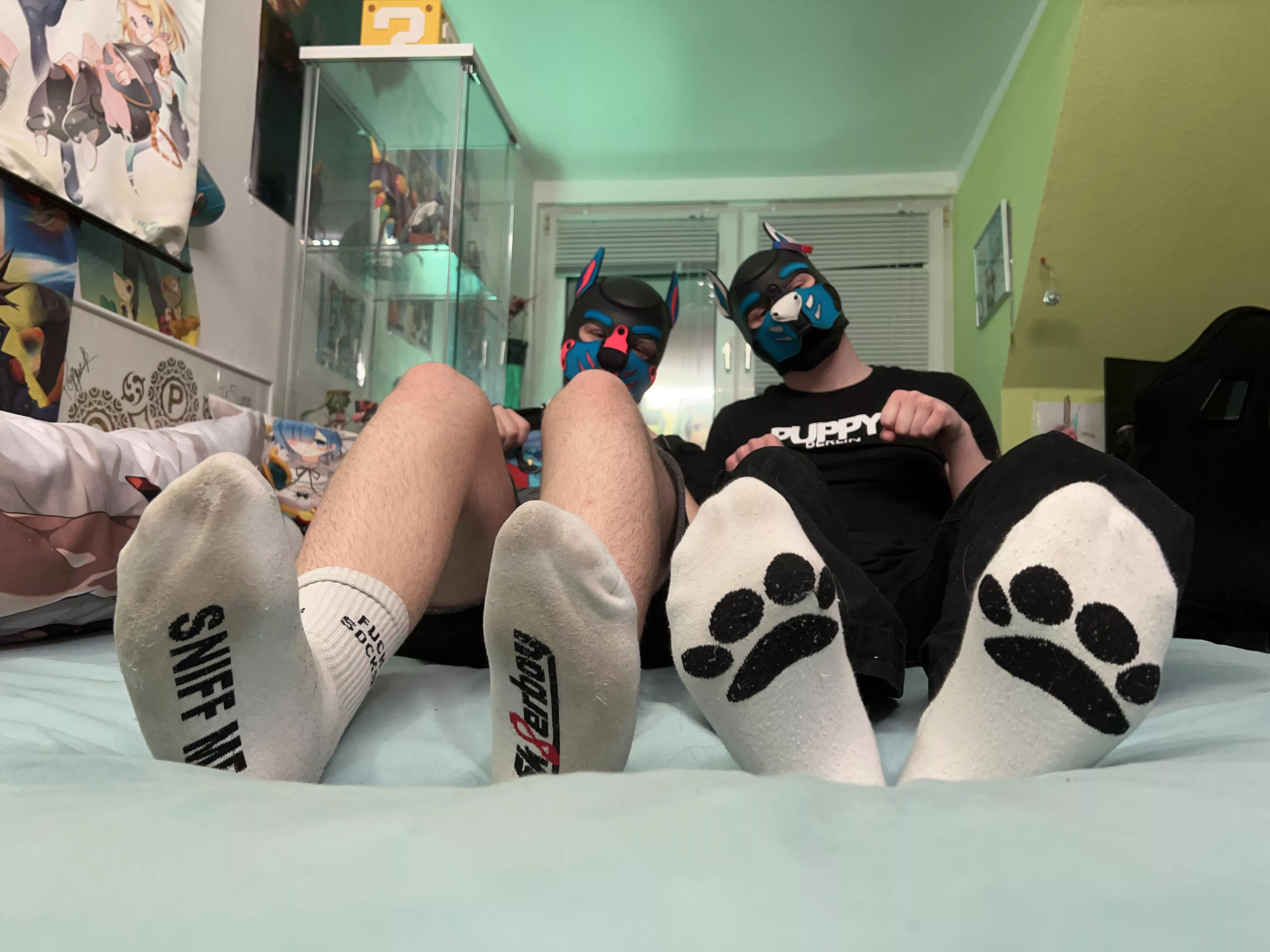 Do you like socks ?