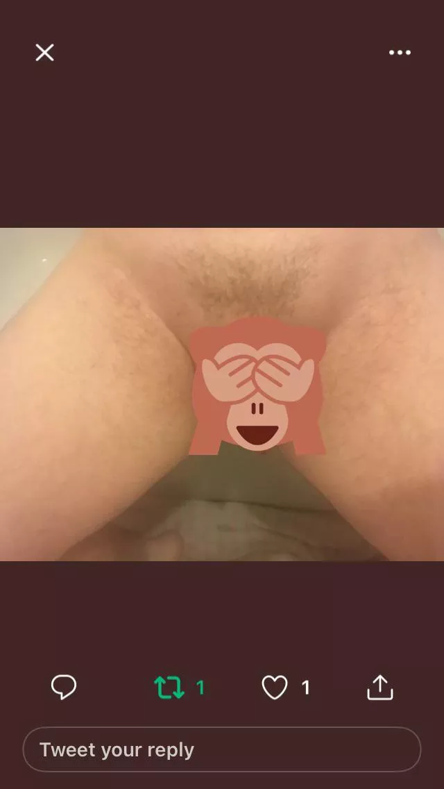 Do you like the monkey