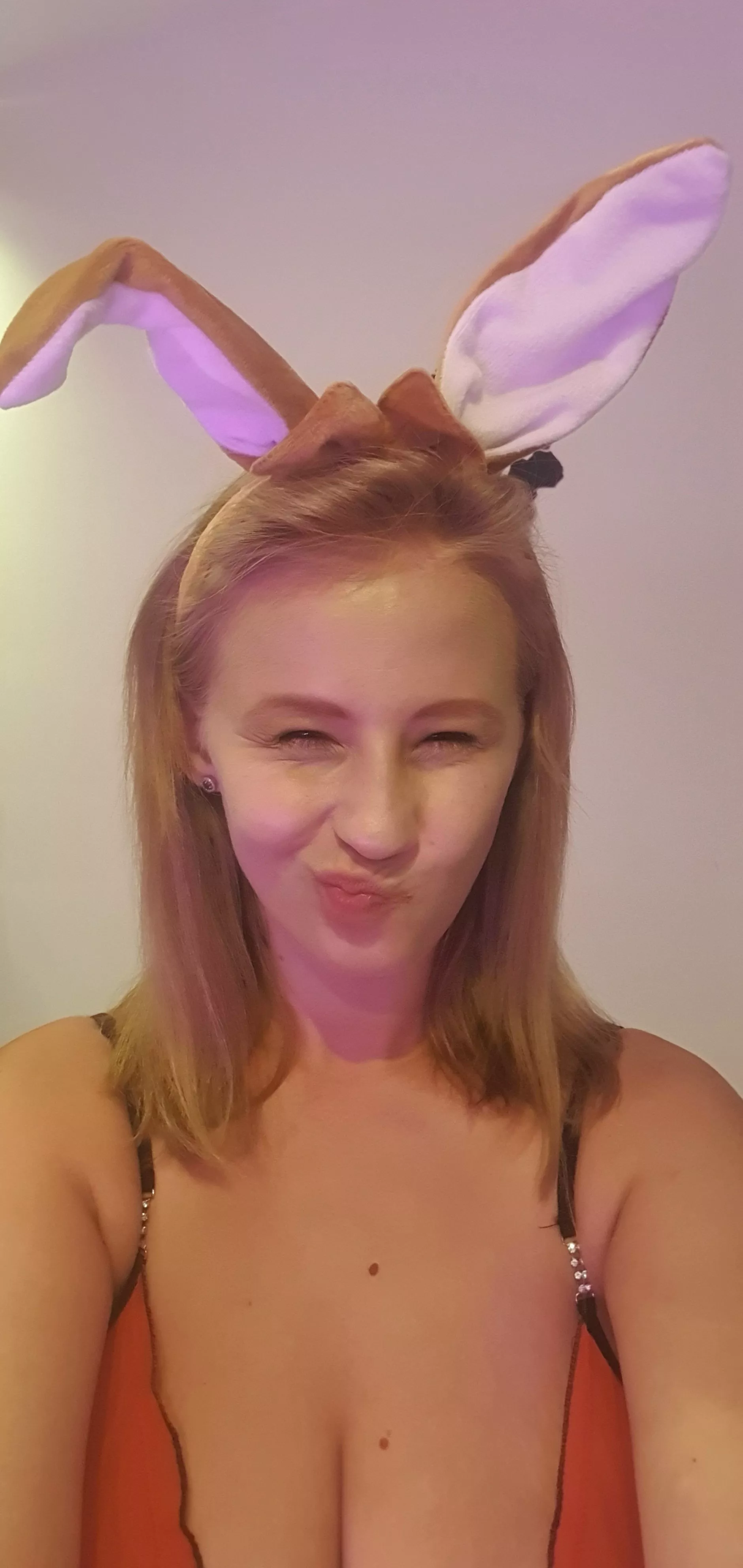 Do you like this type of curvy bunny? [F]