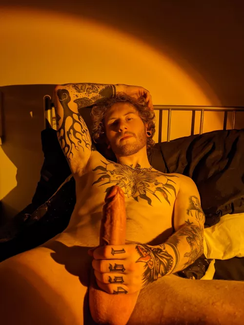 Do you like what you see?