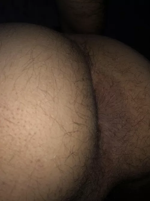 Do you love my ass?