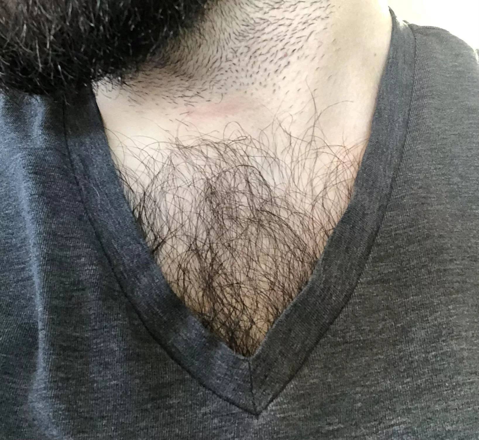 Do you mind if my V neck shows this much chest hair while we’re hanging out?