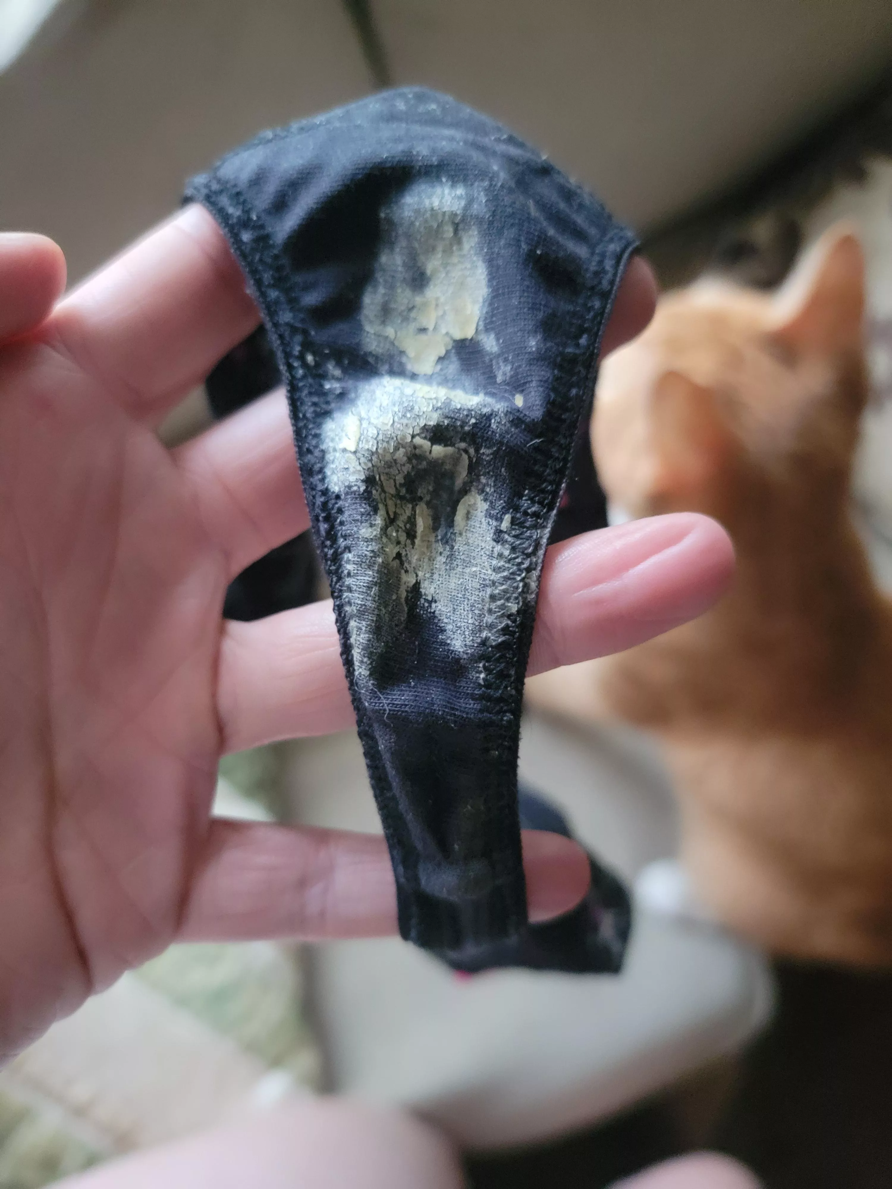Do you still like it when it's dry? Do you still like it when it's dry?