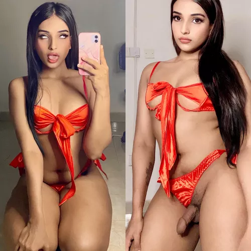 Do you think I’ll be a good Christmas gift ?