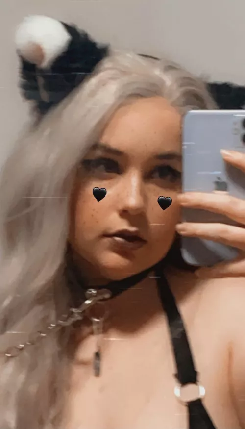 Do you think I’m a good kitty? 🥺