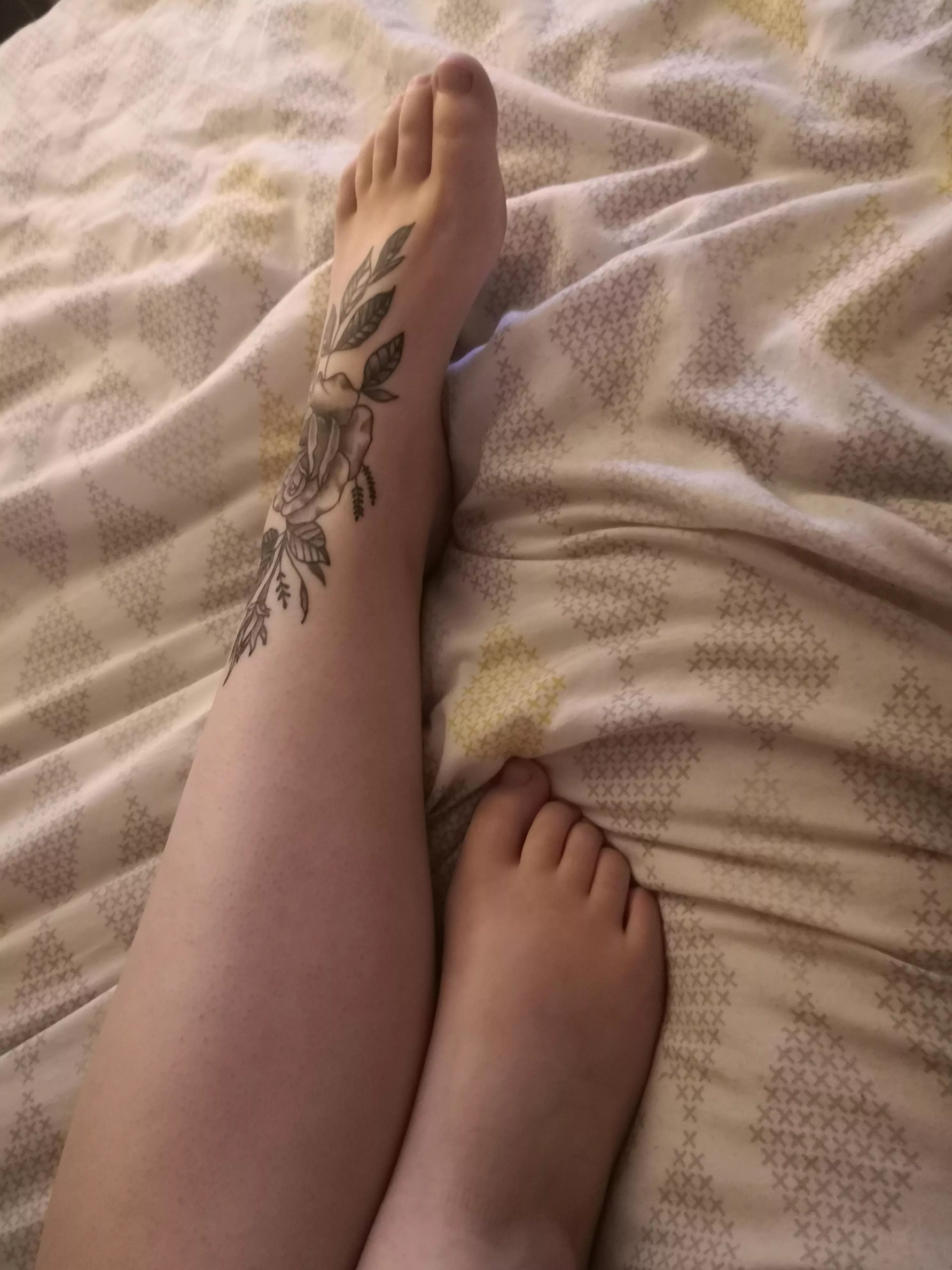 Do you think you could fit all my toes in your mouth?