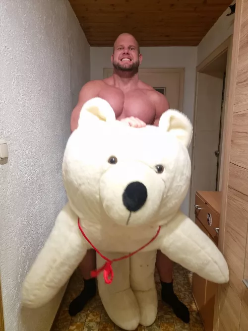 Do you want to be my teddyπ₯΅