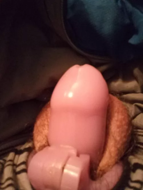 Does anyone else feel incomplete not wearing their cage?