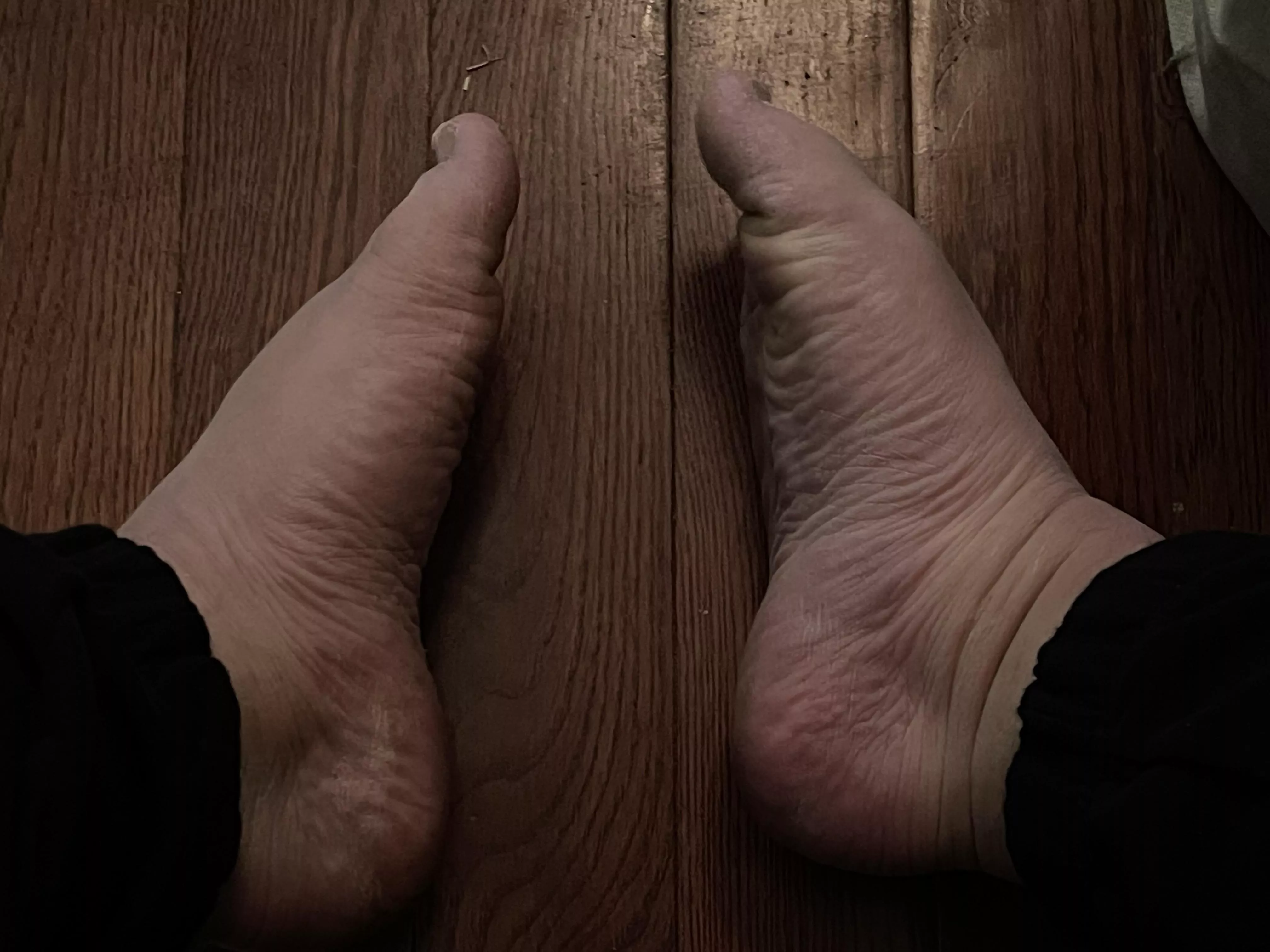 does anyone like bear paws? 🐻🐾