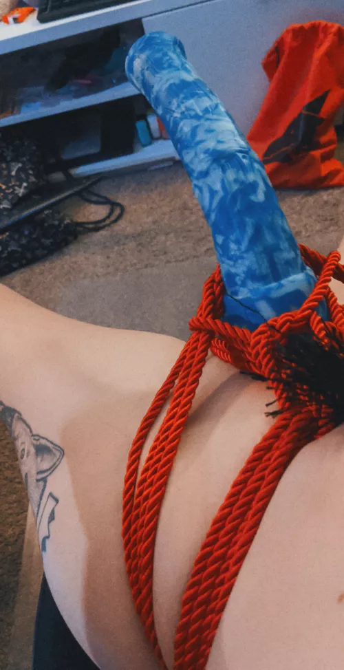 Does having a horse cock count