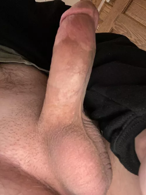 Does it look rideable