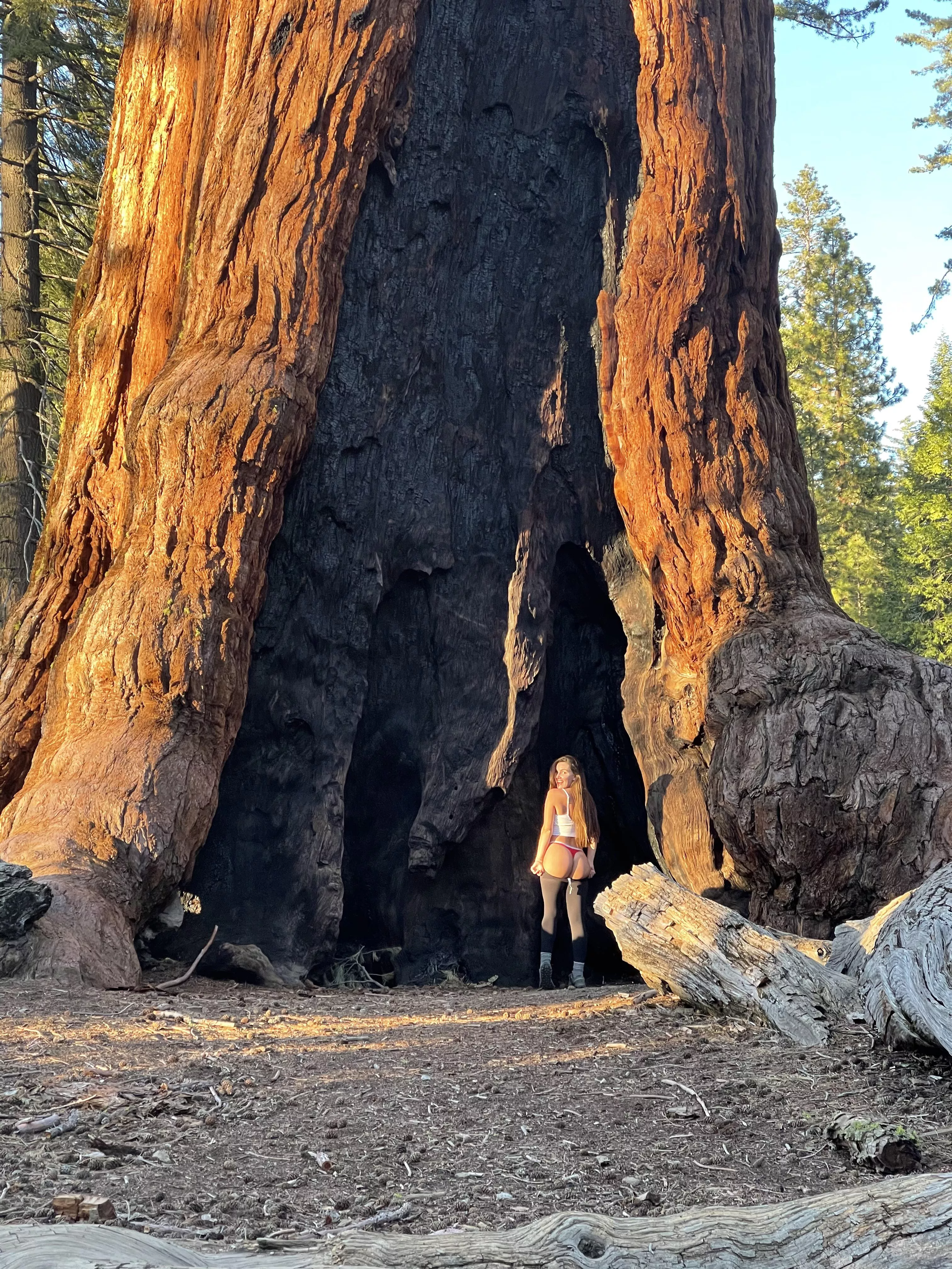 Does nature turn you on?