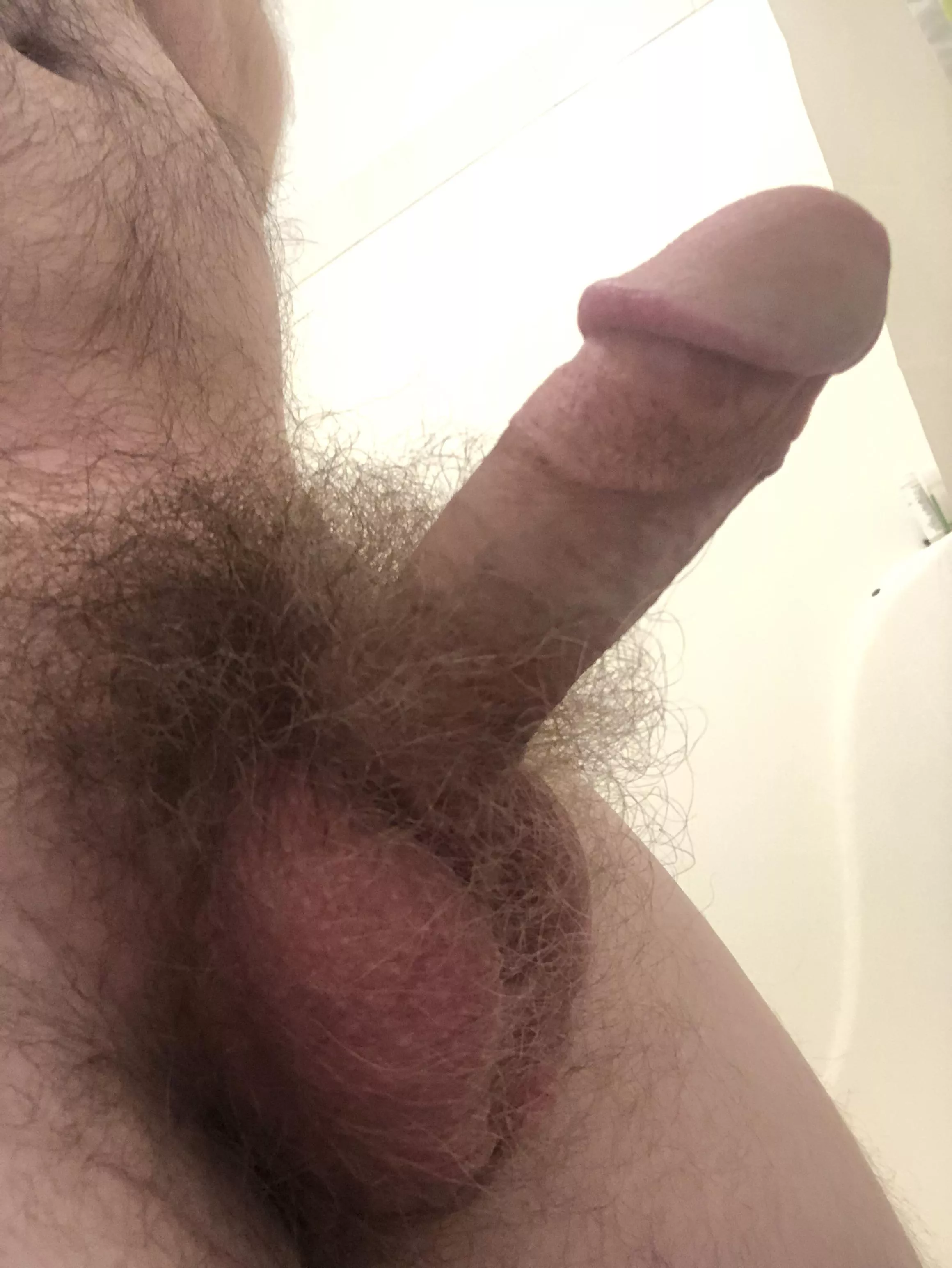 Does this count as insanely hairy?