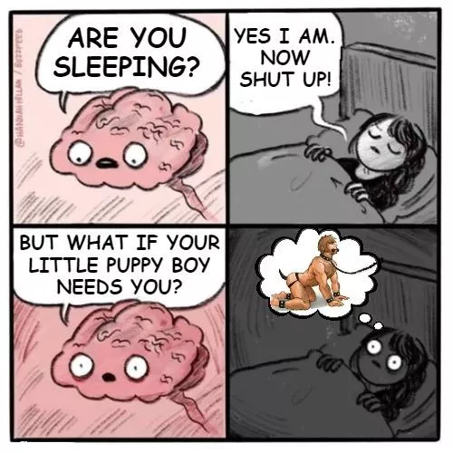 Does worrying about your pup give you sleepless nights? π₯ΊπΆ