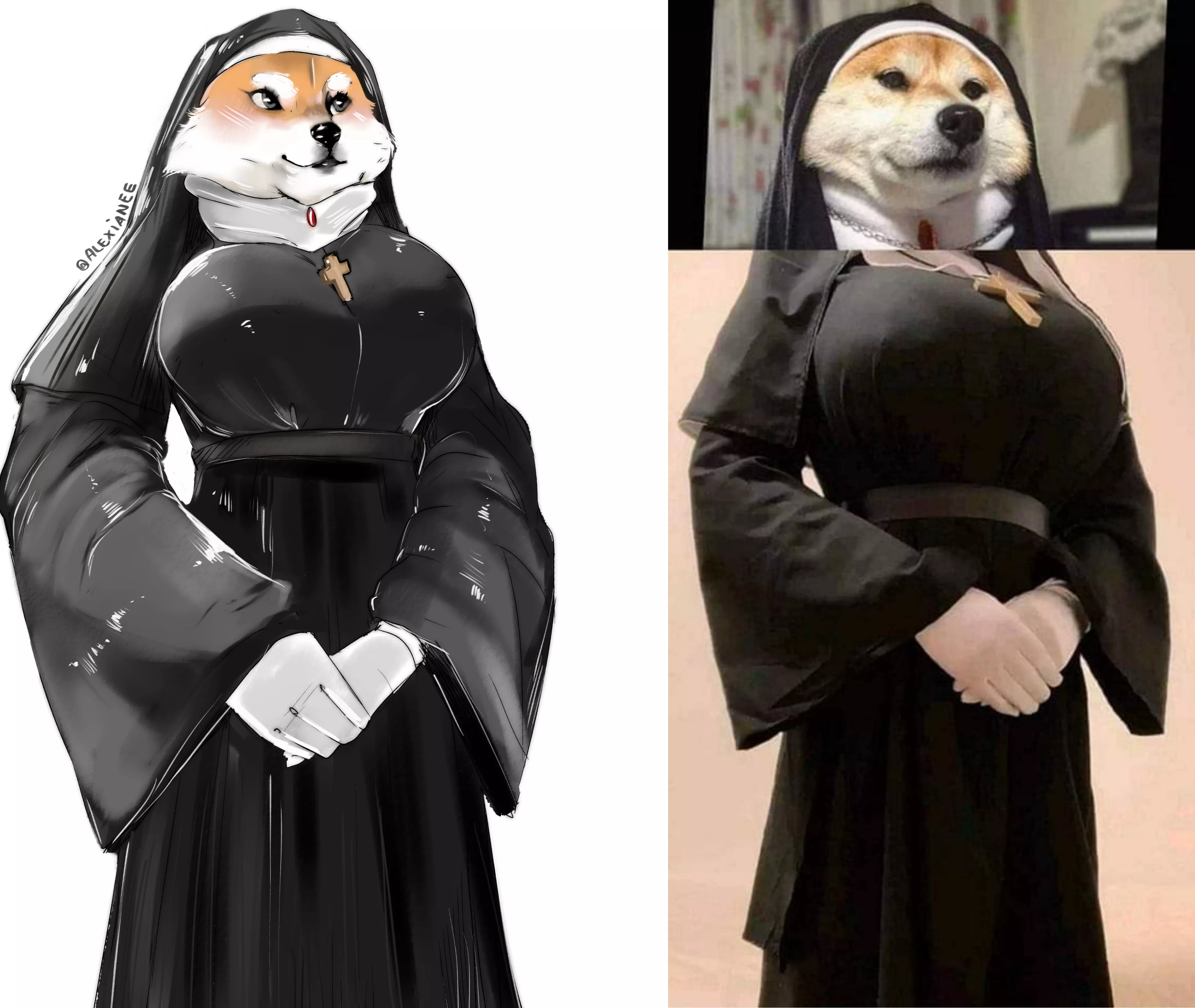 Doge nun (art by me)
