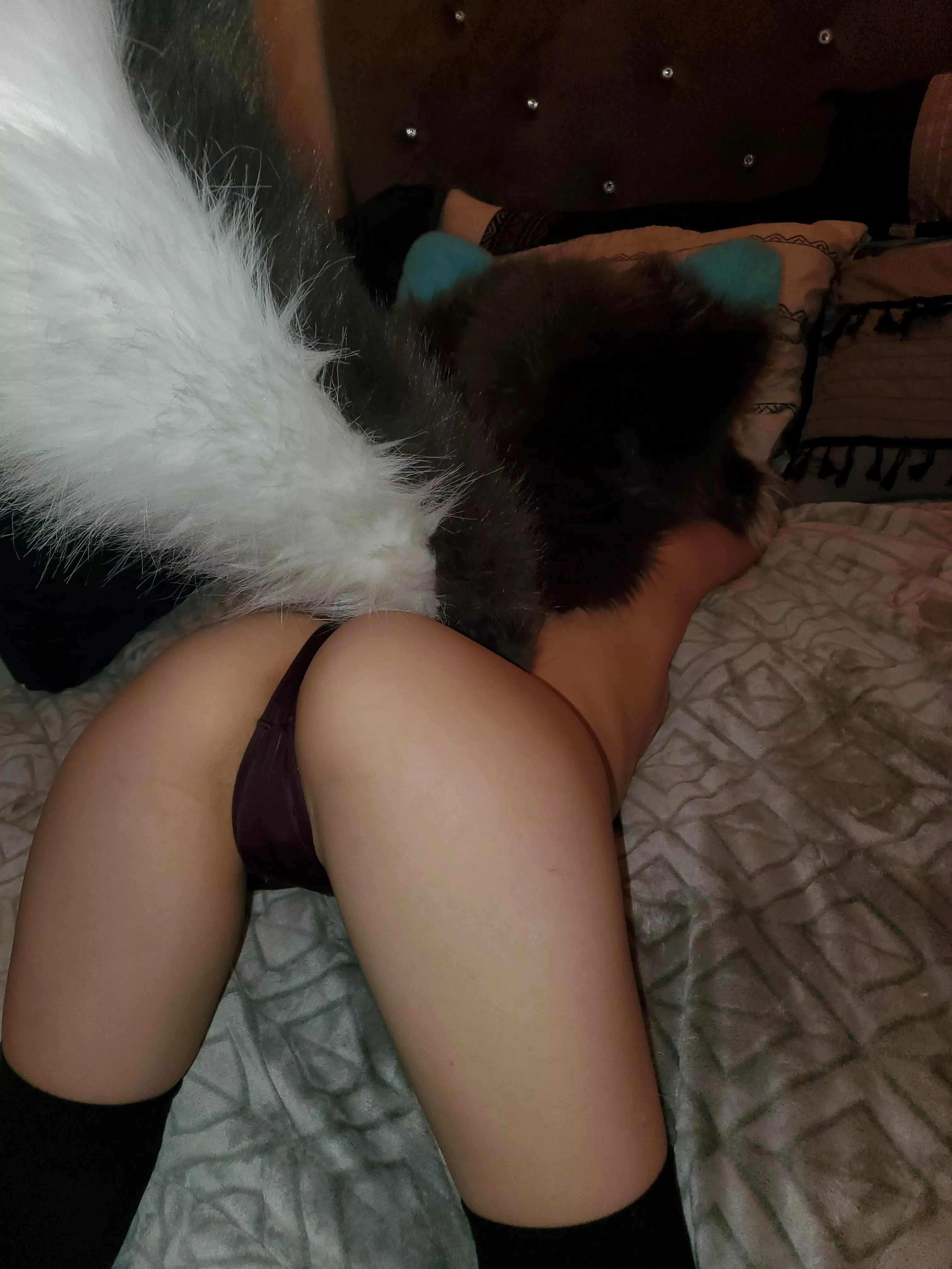 Doggy style is my favorite 💙