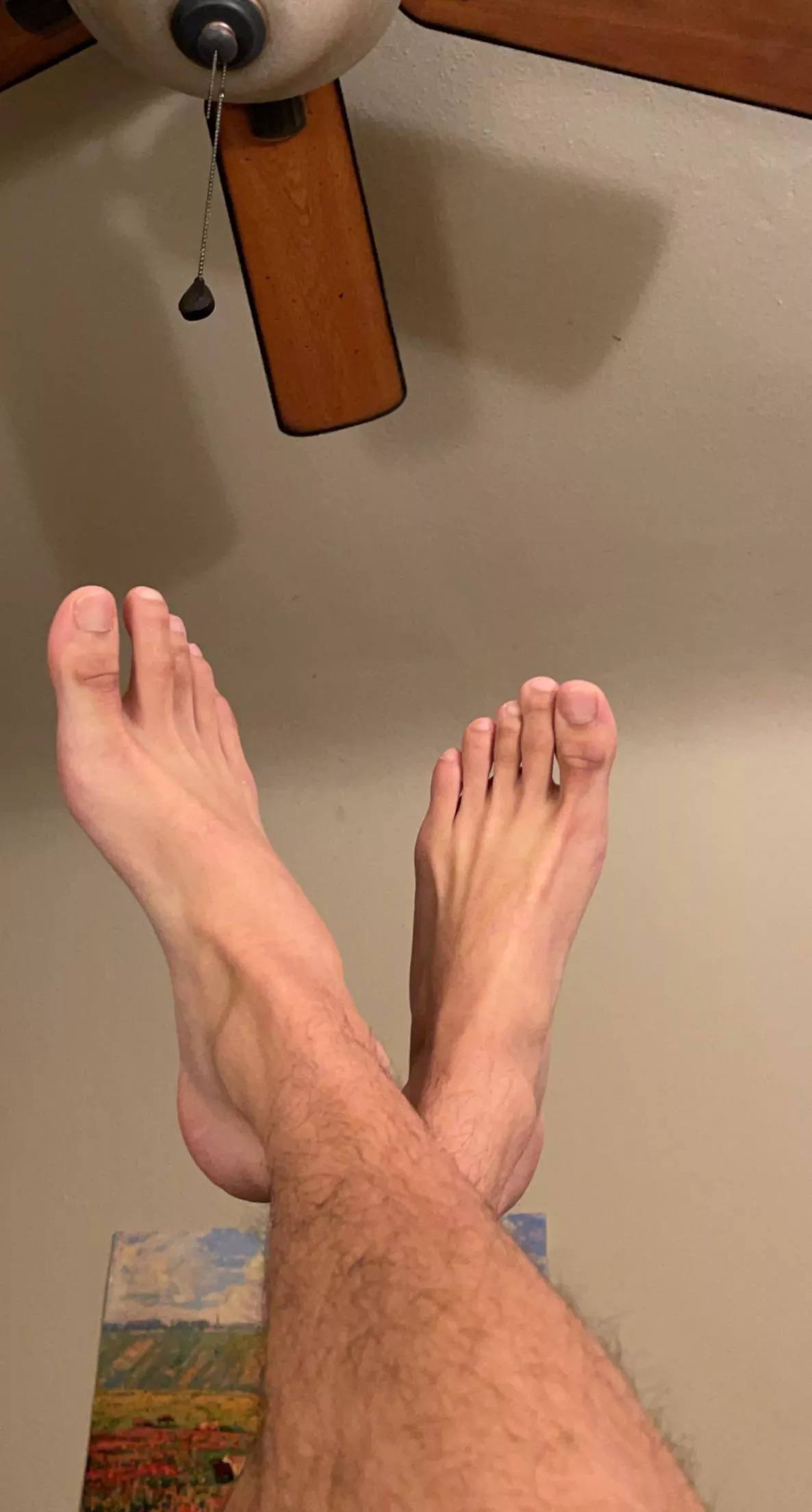 dogs are barking after a long day