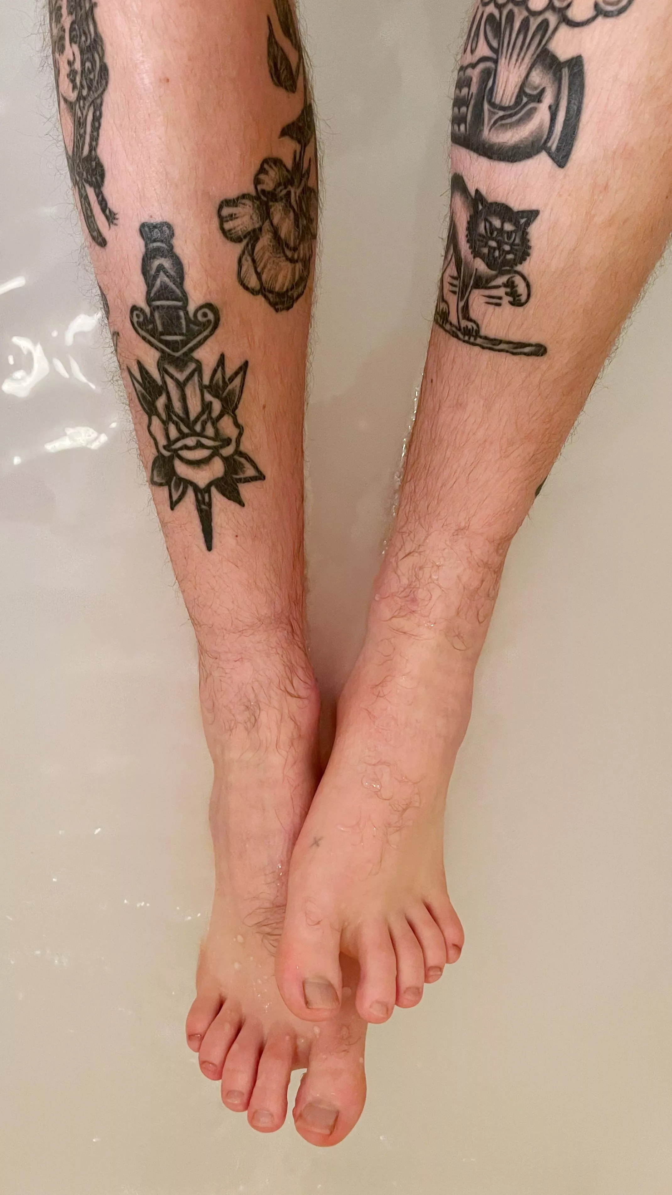 Dogs were barking 🧼