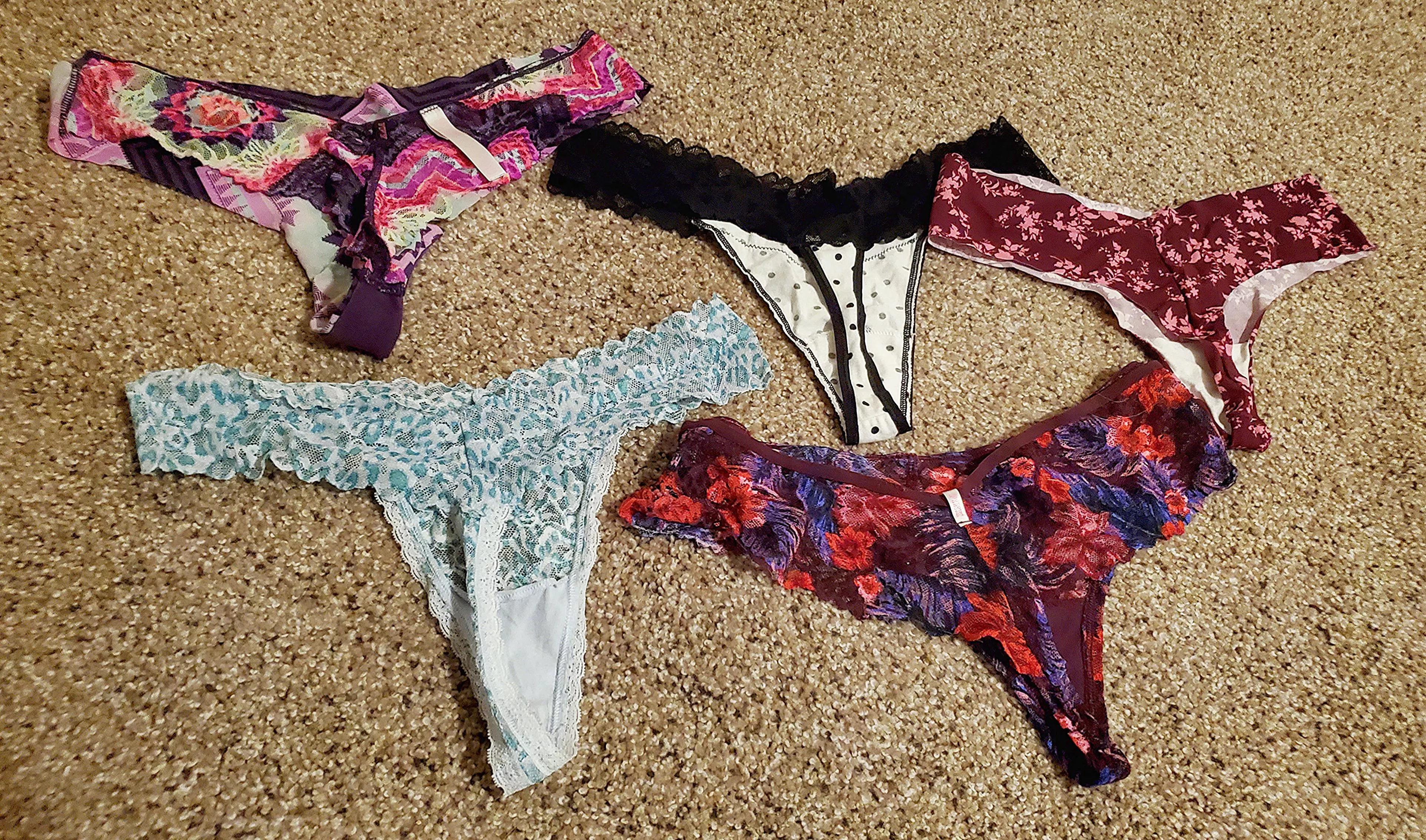 Dogsitting for wife's friend while the 2 of them are out of town. Which pair should I start with? Dogsitting for wife's friend while the 2 of them are out of town. Which pair should I start with?