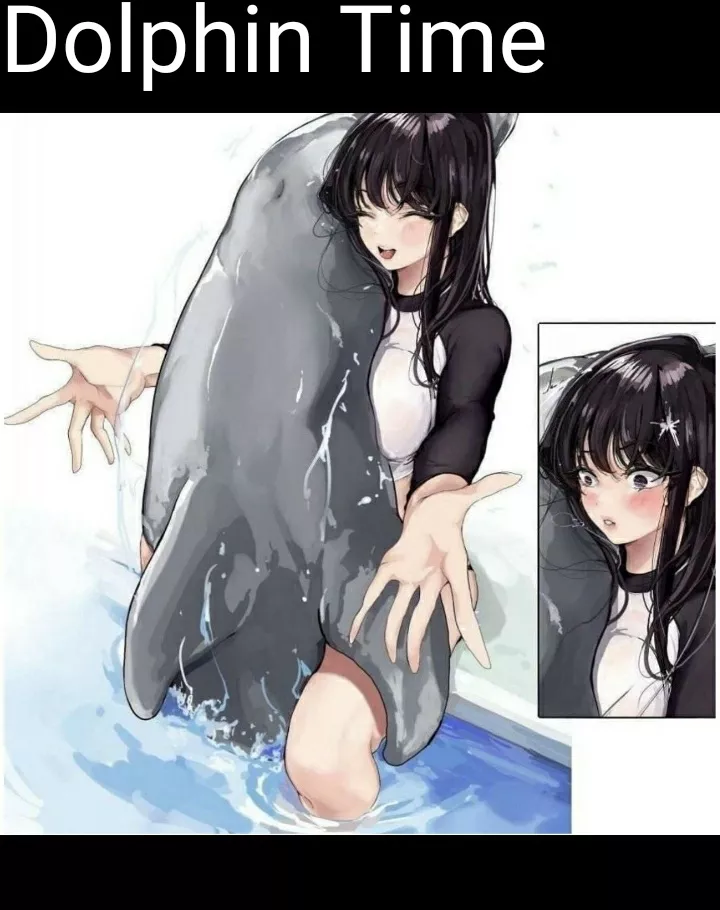 Dolphin time