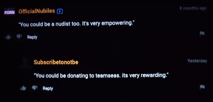 Donate to teamseas