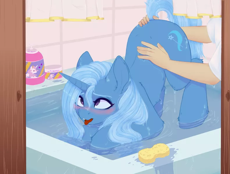 Don't forget to wash your pony! (Artist unknown)
