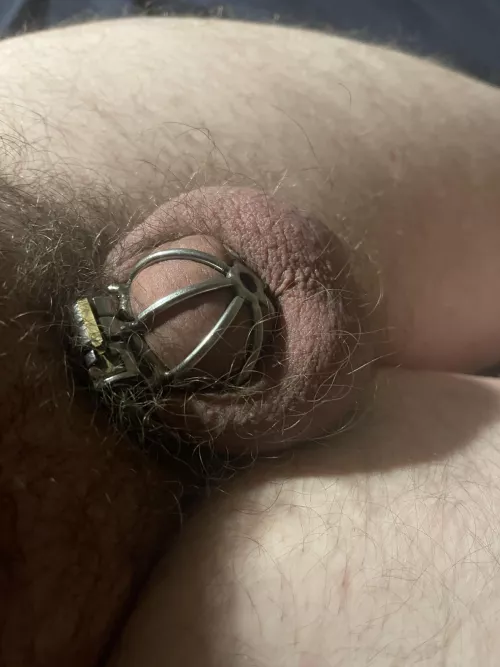 Don’t know when I’ll be unlocked. I’m starting to forget what it feels like to get hard.