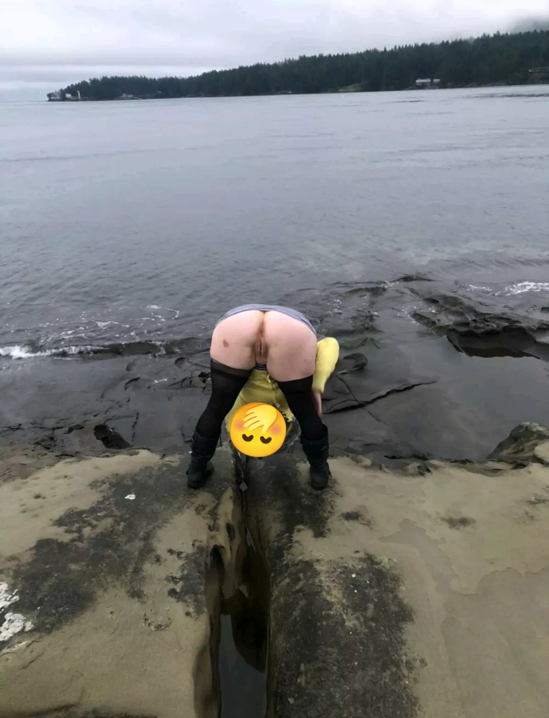Don't mind me, just trying to get a closer look at the shoreline. (F)