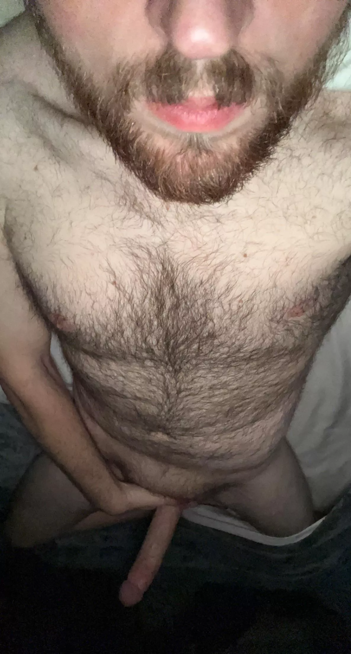 Don’t wanna get out of bed this morning