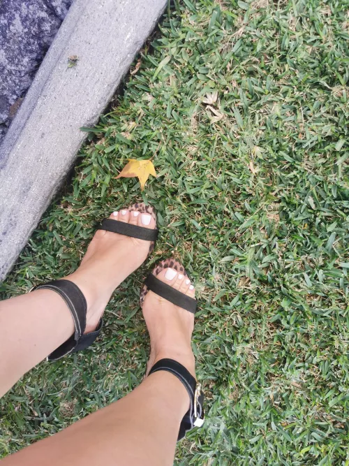 don't you like my feet ?