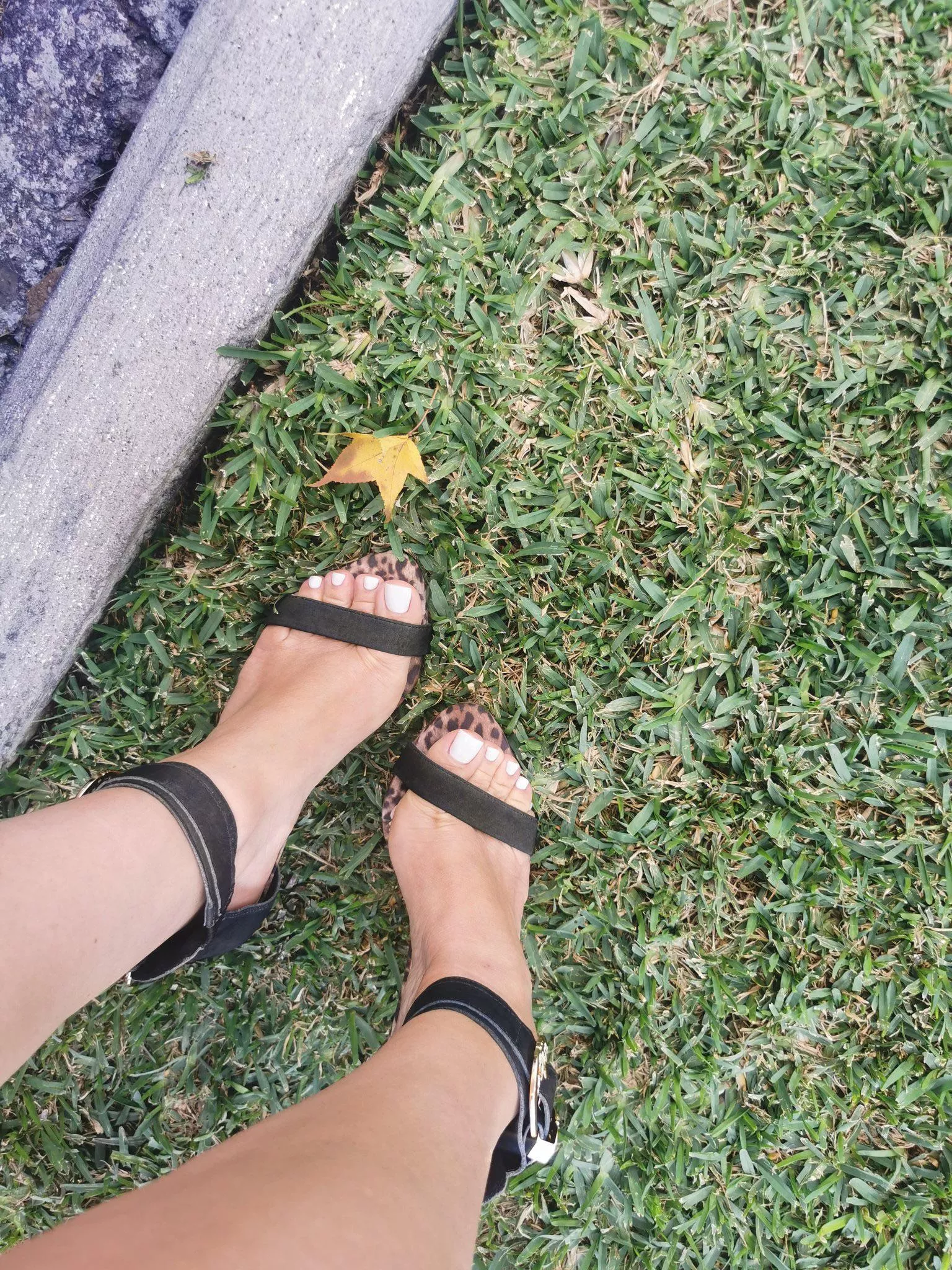 don't you like my feet ?