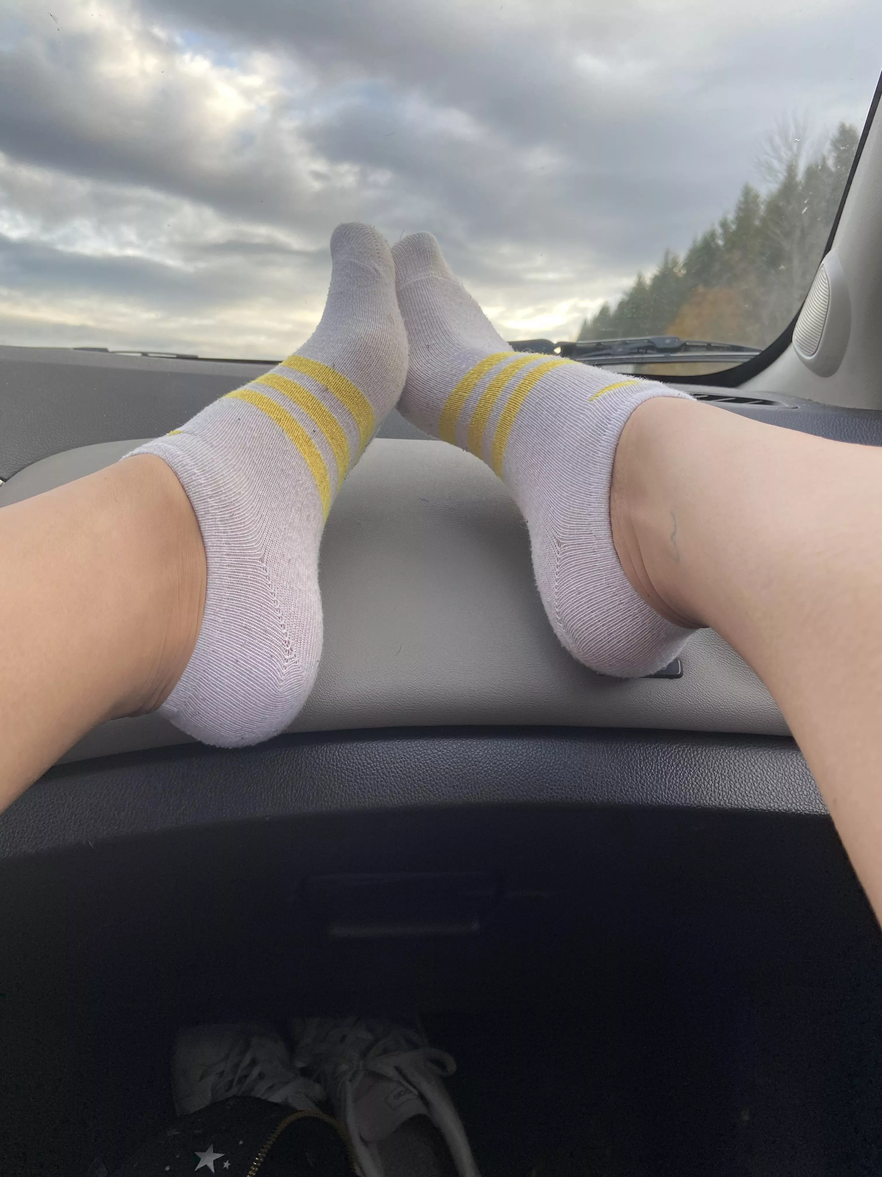 Don’t you wanna lick my arch