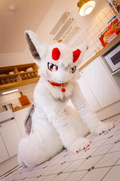 Dragon in the kitchen