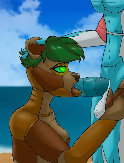 Driftwood [IF] (Birdfellow)