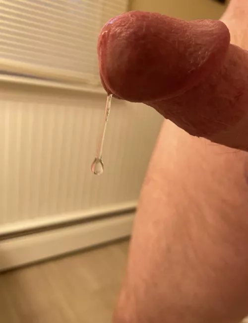 Dripping in anticipation