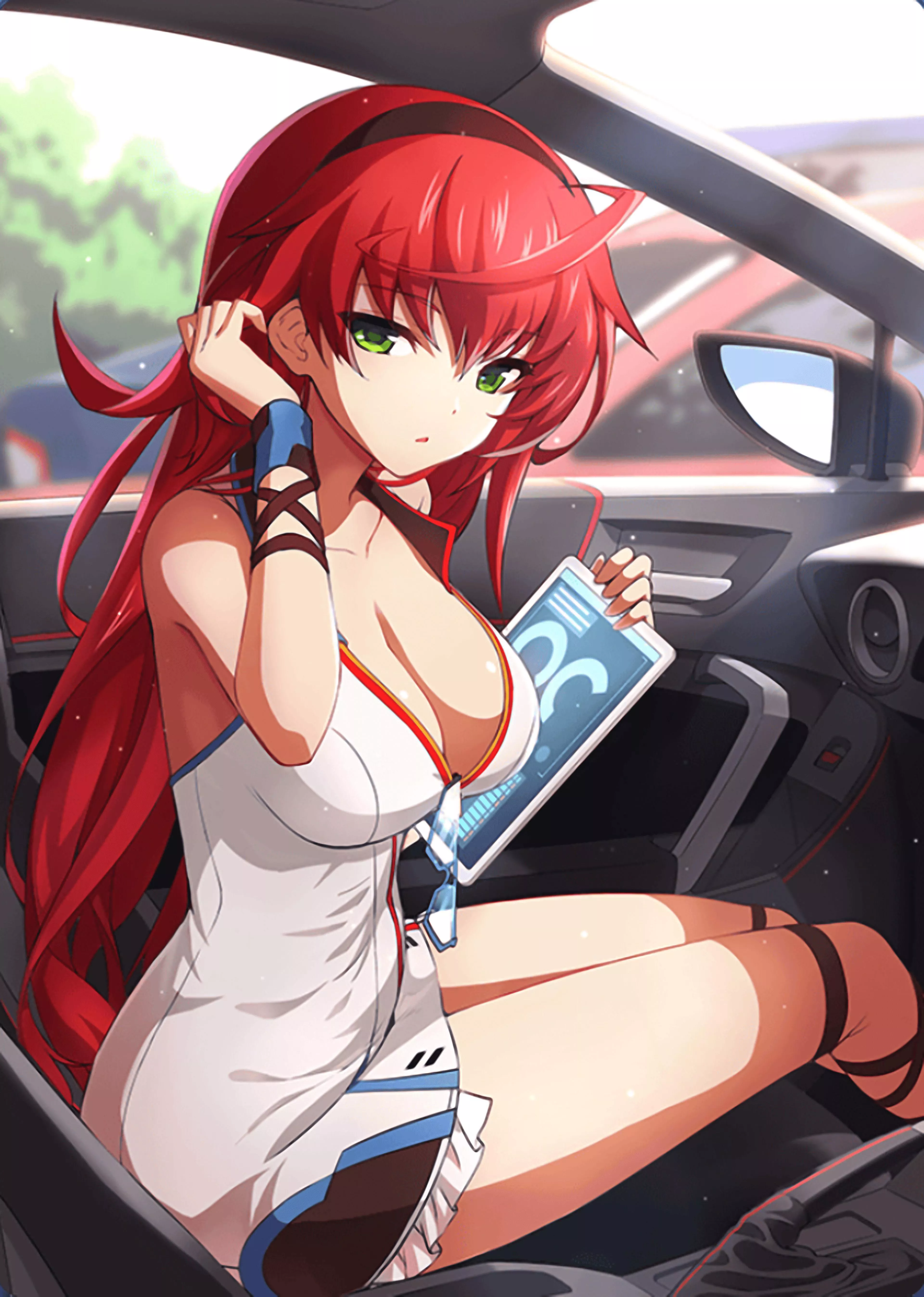 Driving lessons with Velvet Hell (infinite stratos)