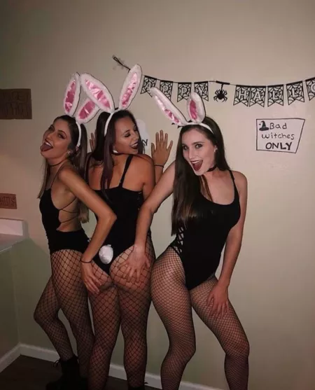 Drunk bunnies