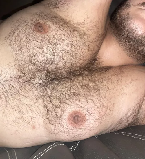 Drunk, hairy, and horny.
