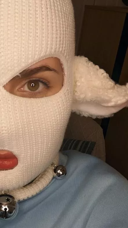 dumb little sheep 🔔🐑