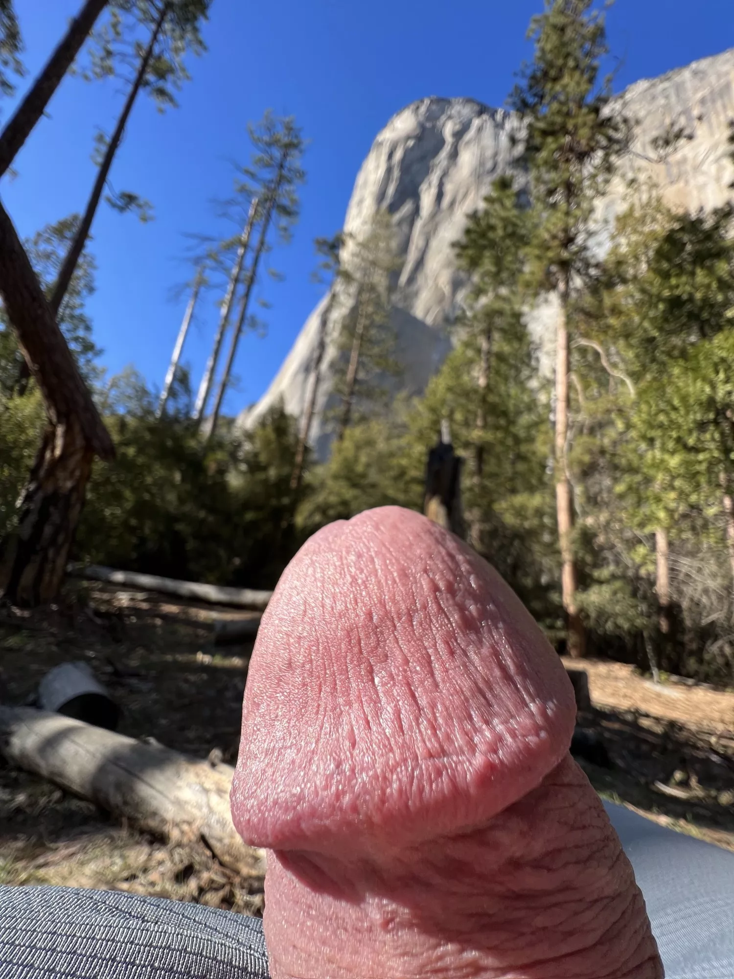 Dwarfed by El Capitan in Yosemite