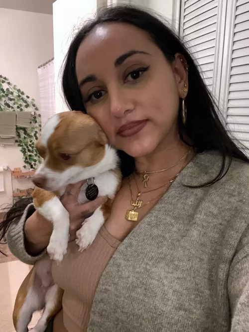 Egyptian x Pakistani x Kenyan