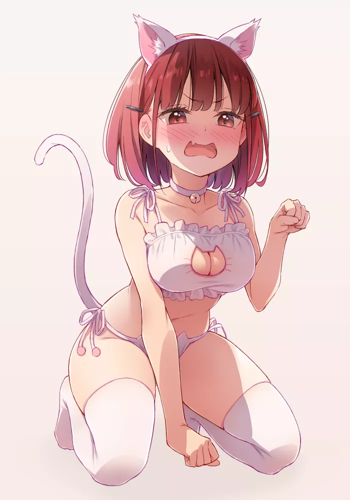 Embarrassed neko