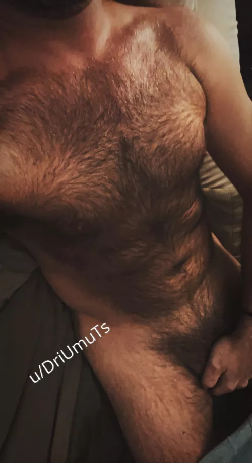 Embracing the Fur